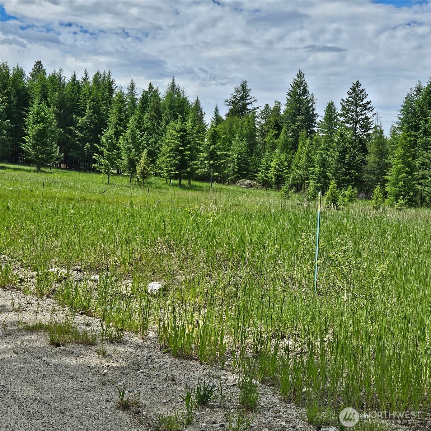 111 Tbd Summer Road Property Photo 3