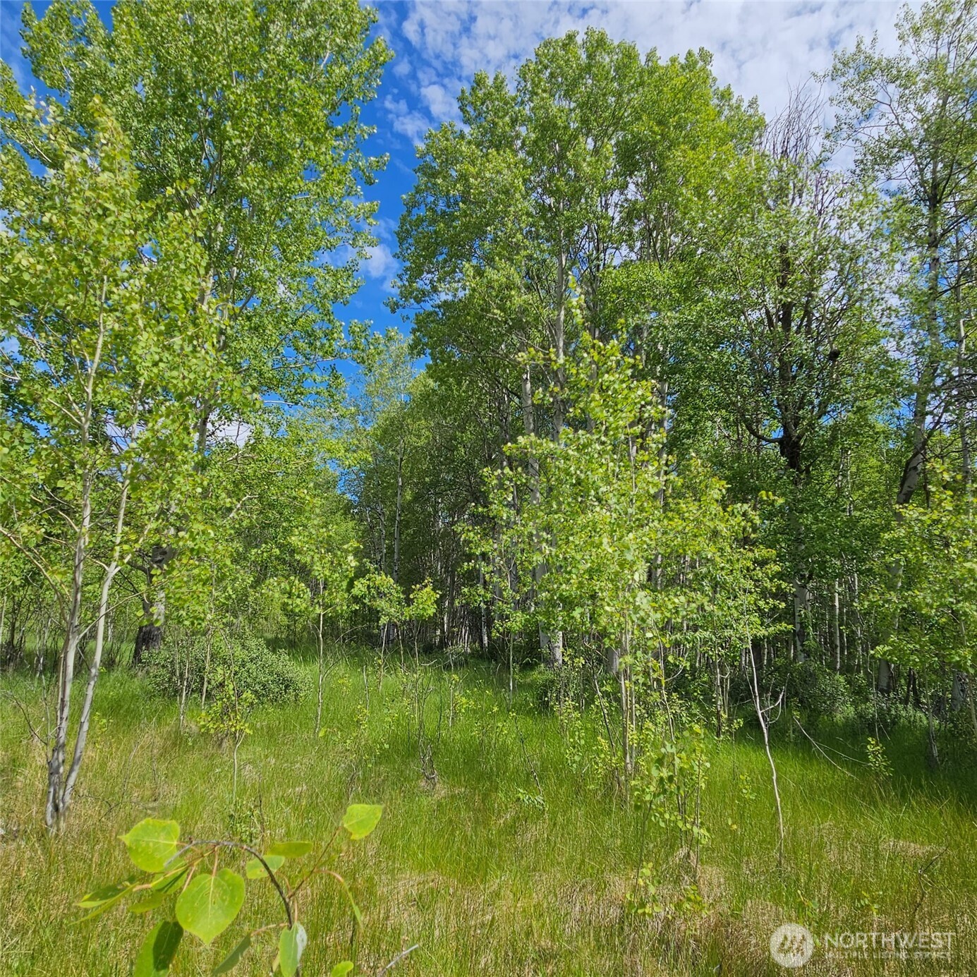 111 Tbd Summer Road Property Photo 4