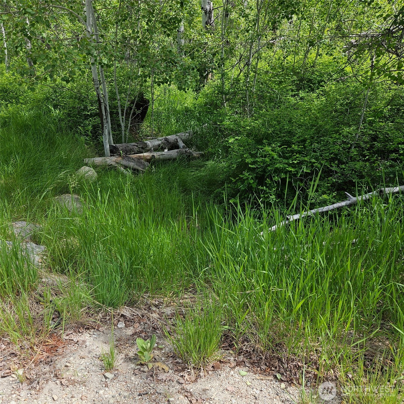 111 Tbd Summer Road Property Photo 5