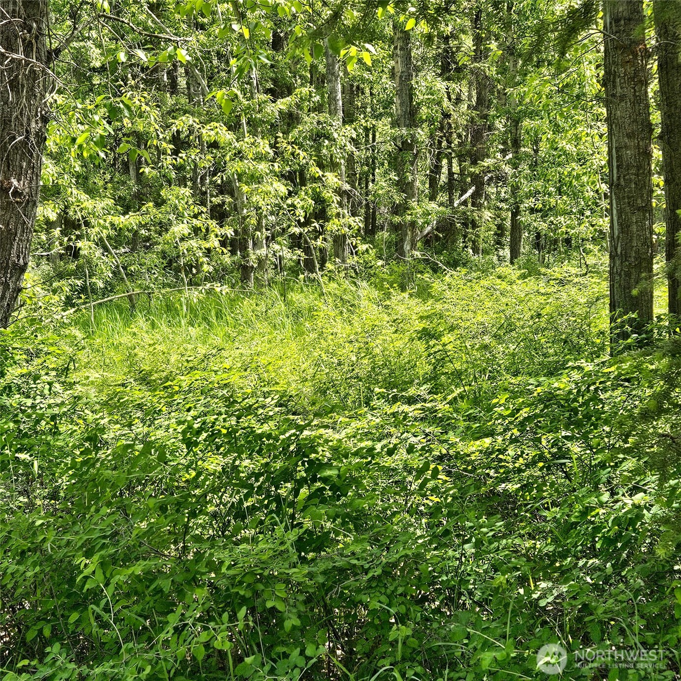 111 Tbd Summer Road Property Photo 6