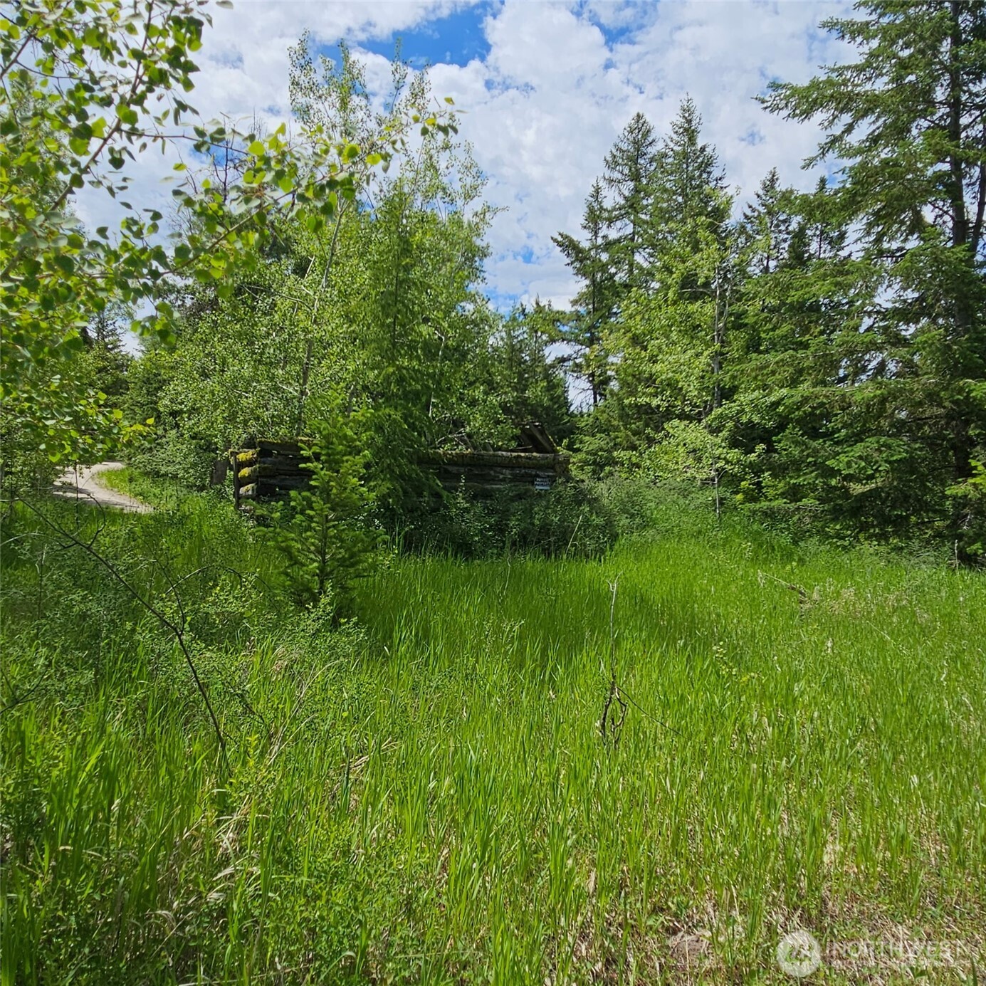 111 Tbd Summer Road Property Photo 8