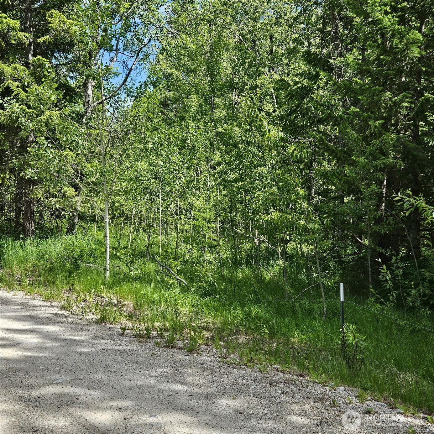 111 Tbd Summer Road Property Photo 10