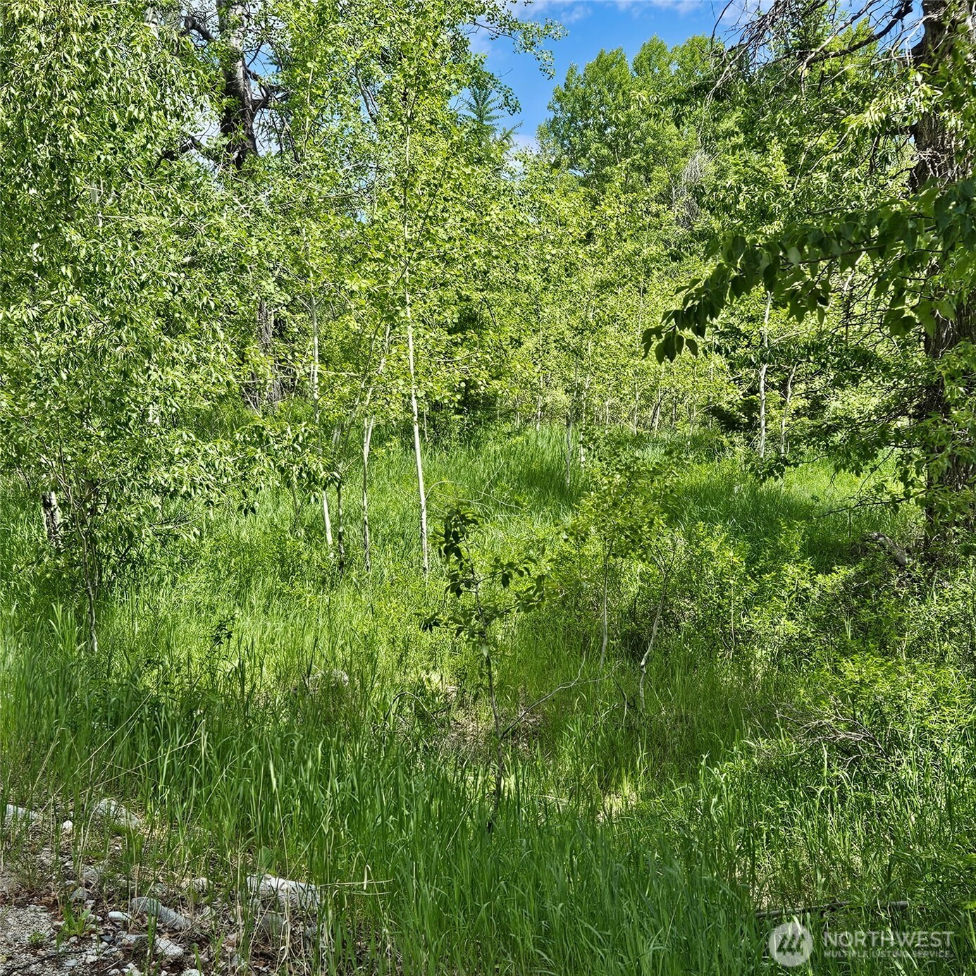 111 Tbd Summer Road Property Photo 11