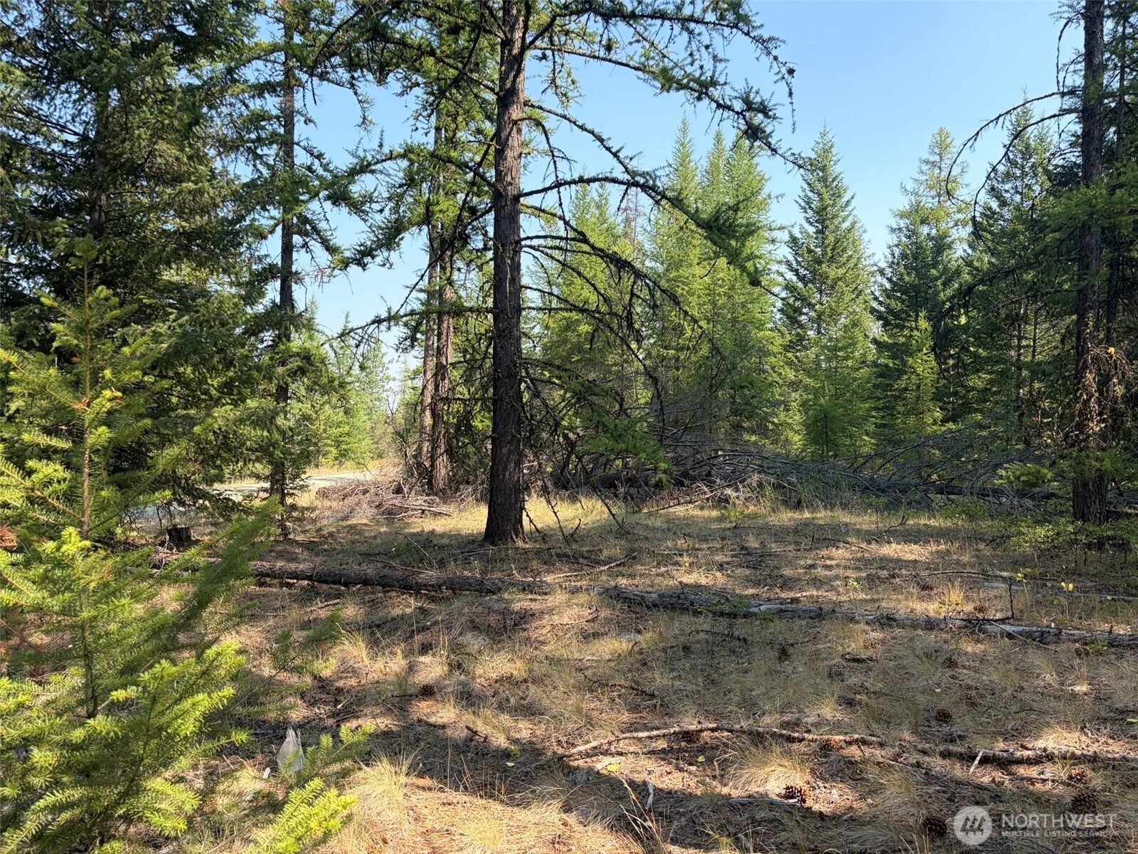 111 Tbd Summer Road Property Photo 18