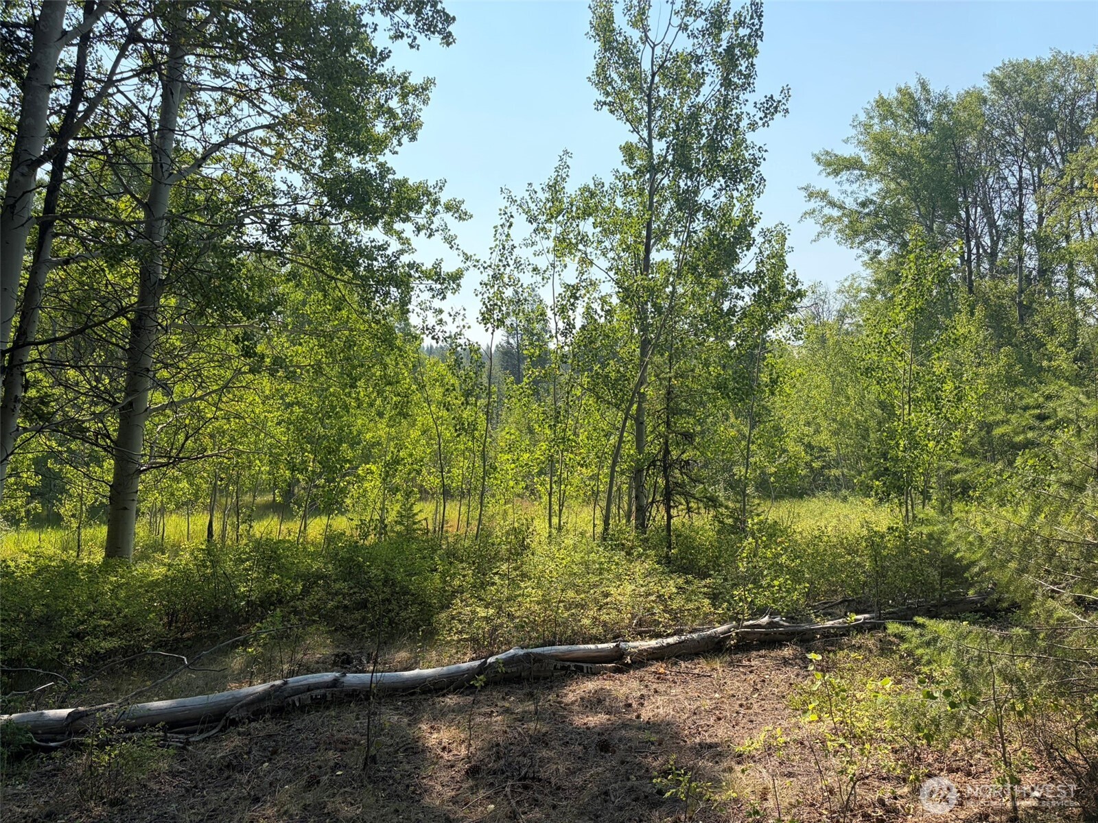 111 Tbd Summer Road Property Photo 24