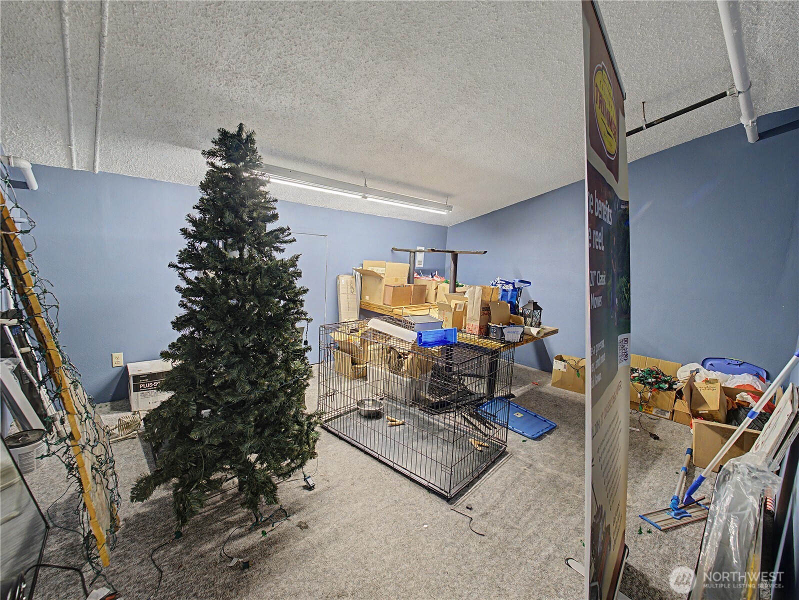1343 Cole Street Property Photo 28