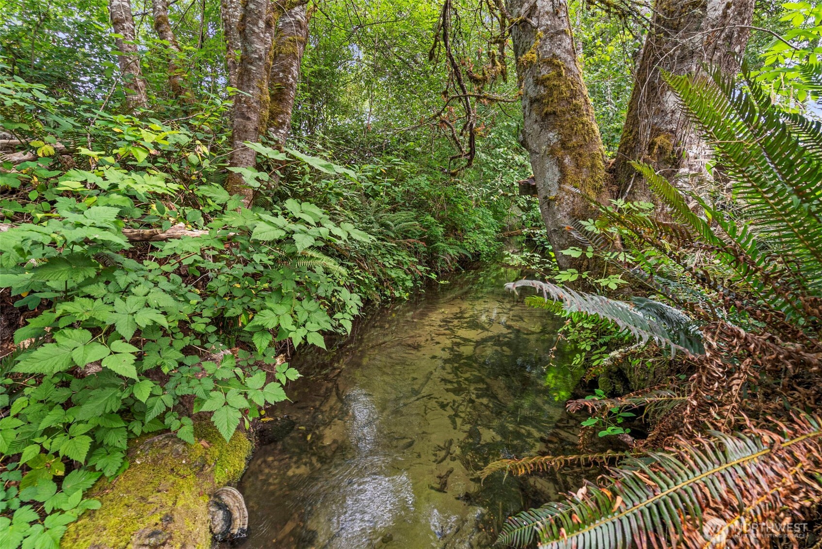 10407 Evergreen Valley Road Property Photo 36