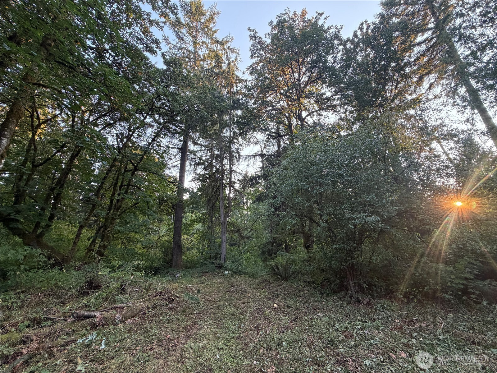 19009 51st Avenue Property Photo 1