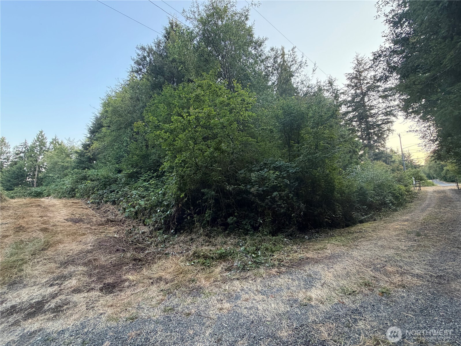 19009 51st Avenue Property Photo 3
