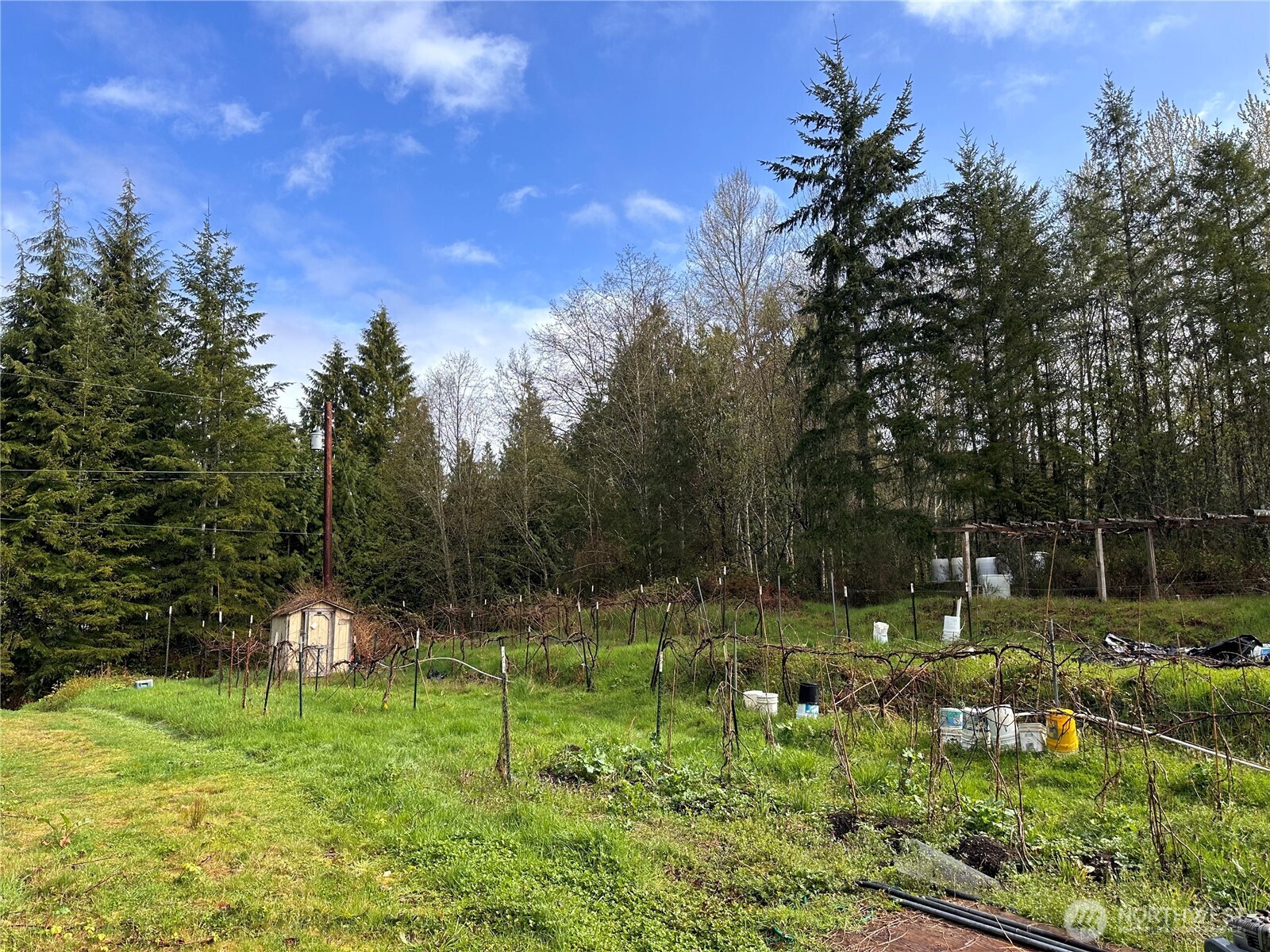 19009 51st Avenue Property Photo 7
