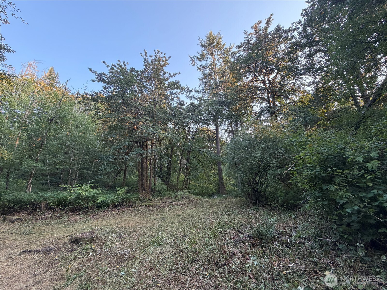 19009 51st Avenue Property Photo 10