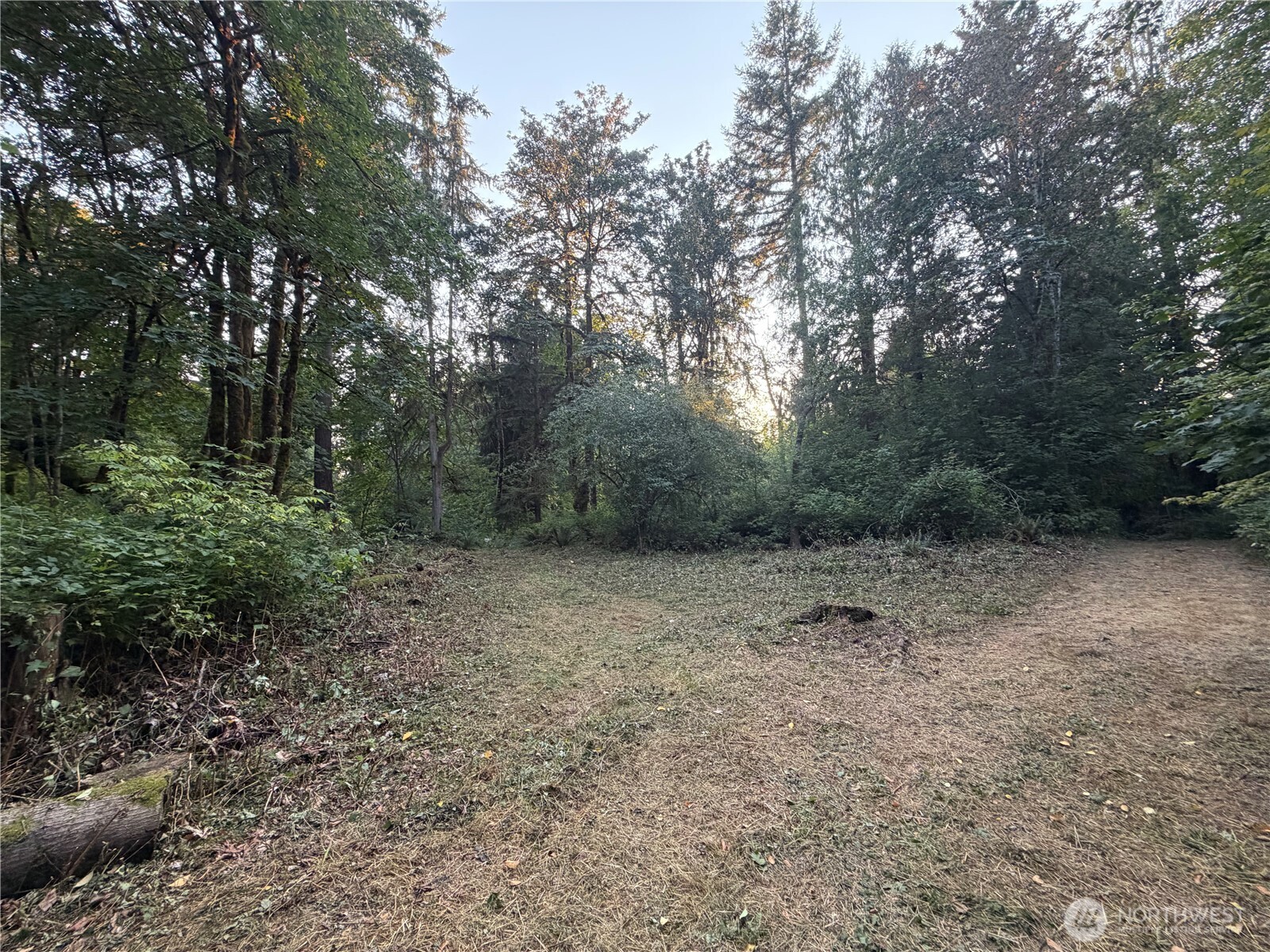 19009 51st Avenue Property Photo 11