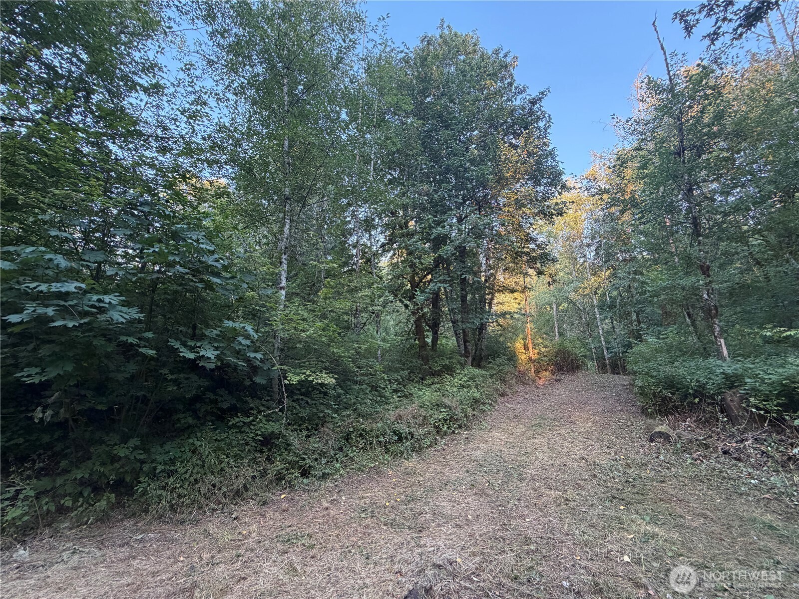 19009 51st Avenue Property Photo 12