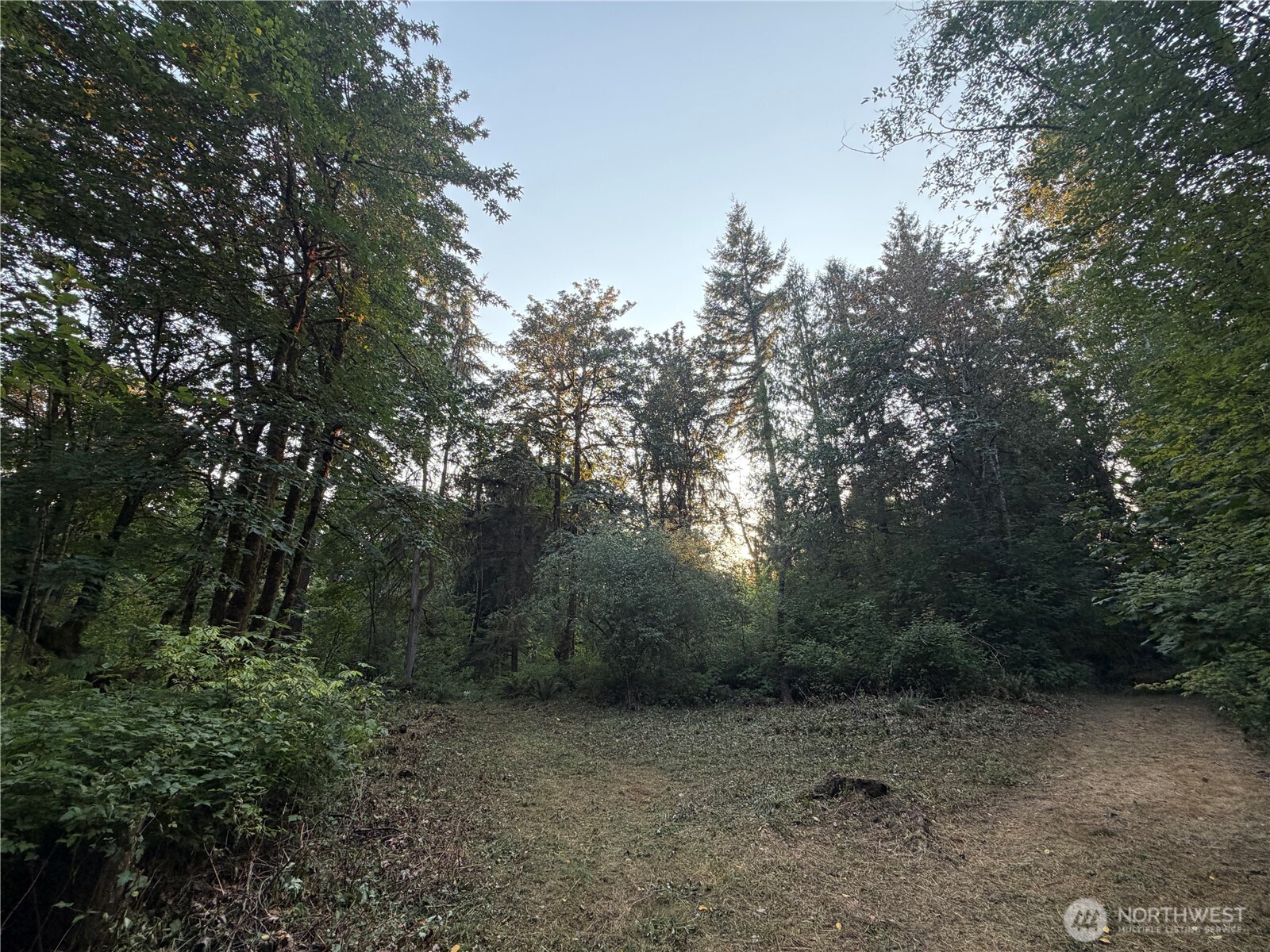 19009 51st Avenue Property Photo 13