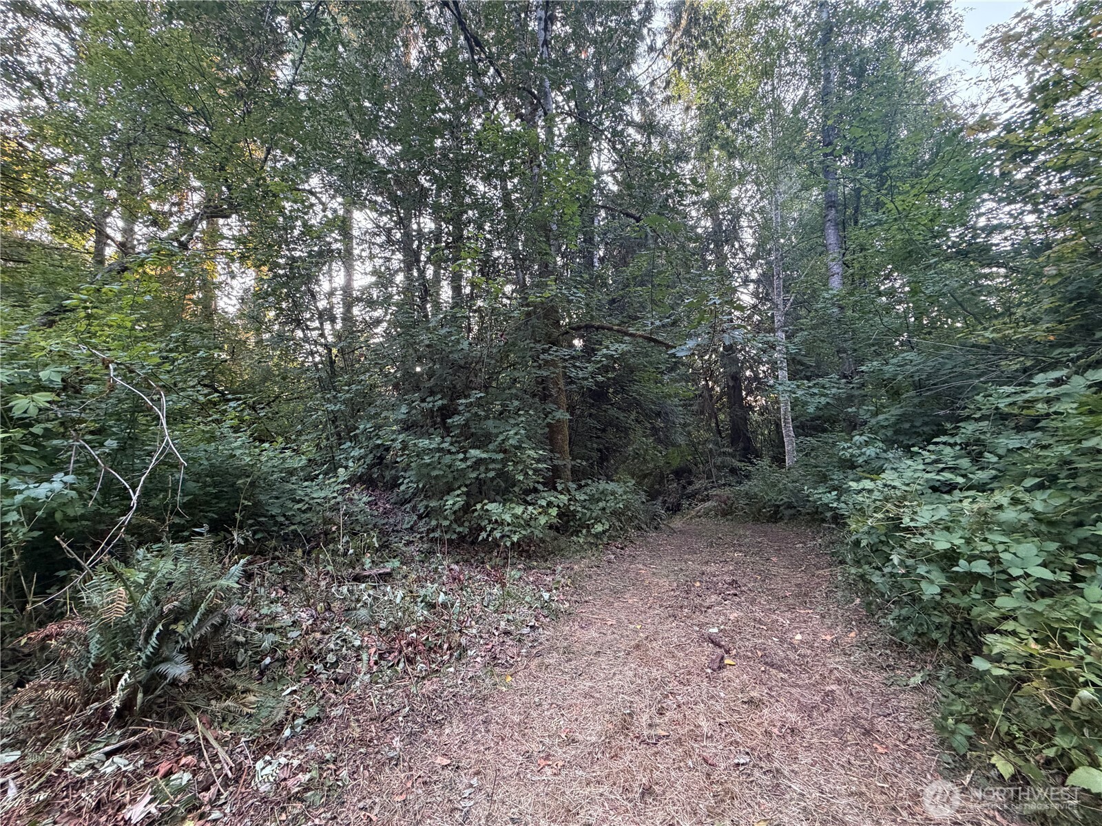 19009 51st Avenue Property Photo 14