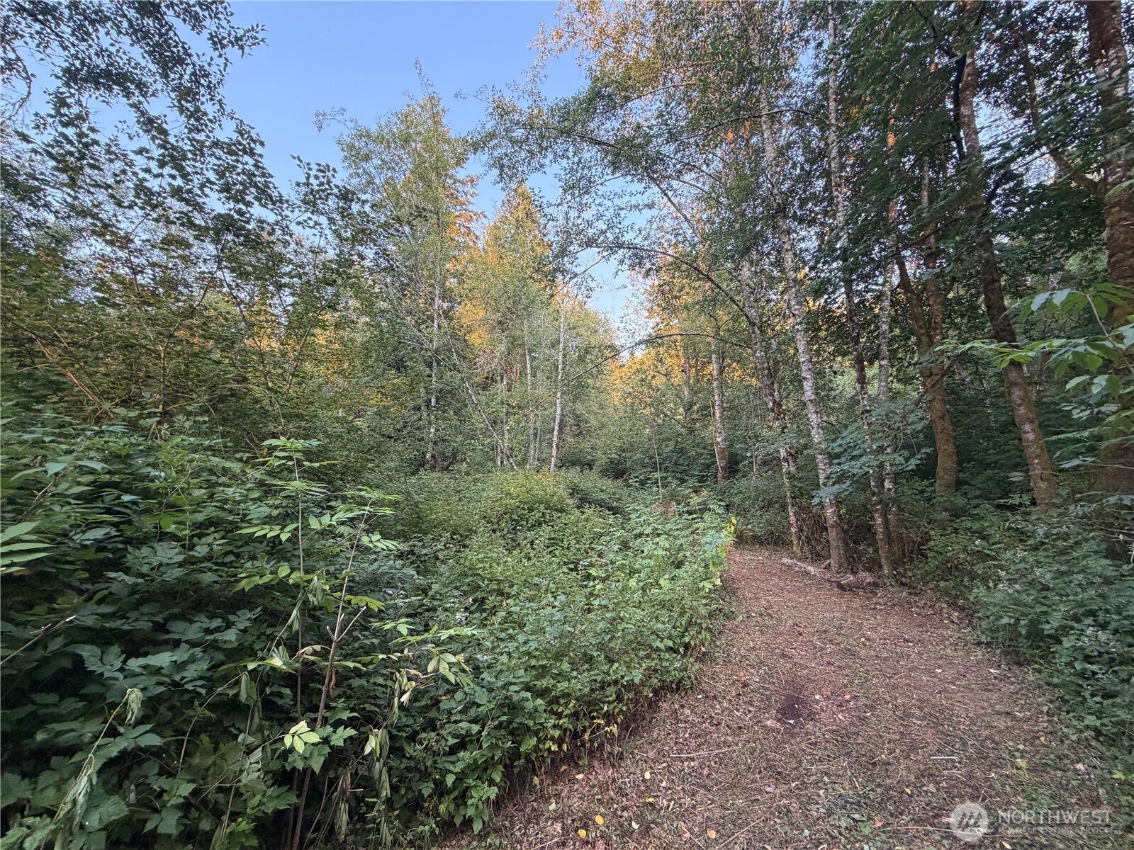 19009 51st Avenue Property Photo 16