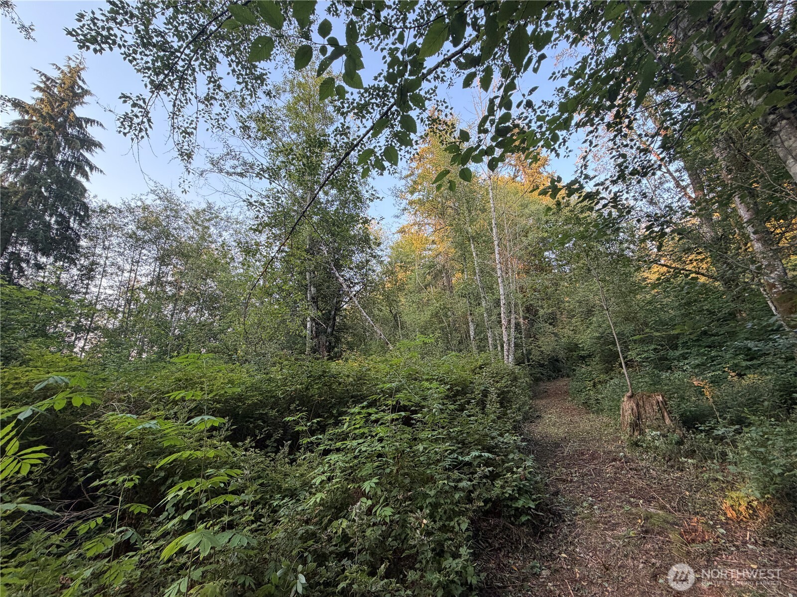 19009 51st Avenue Property Photo 17