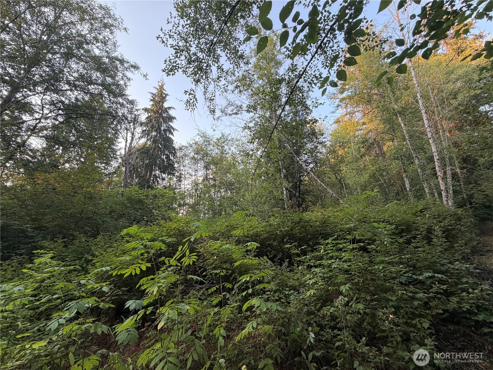 19009 51st Avenue Property Photo 18
