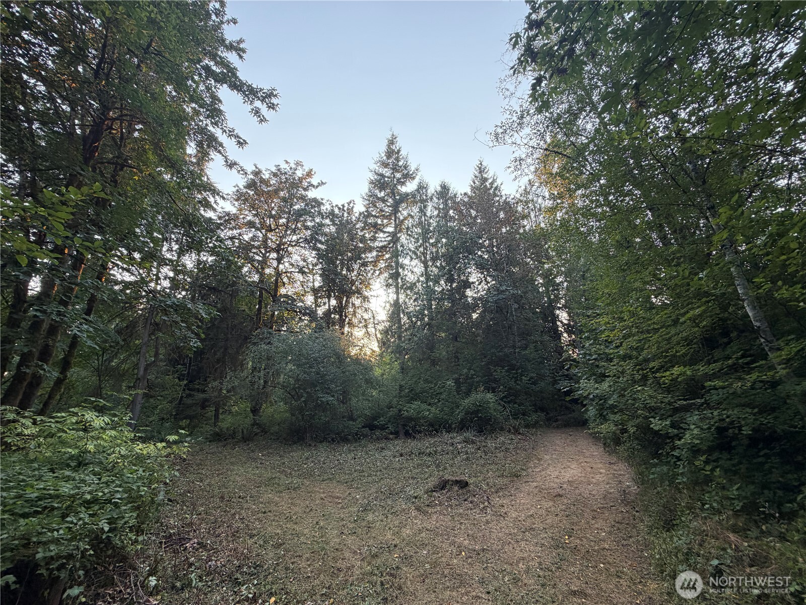 19009 51st Avenue Property Photo 19