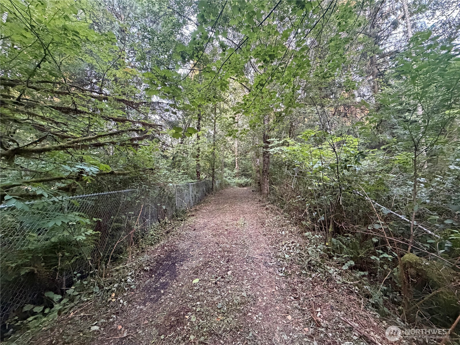 19009 51st Avenue Property Photo 20