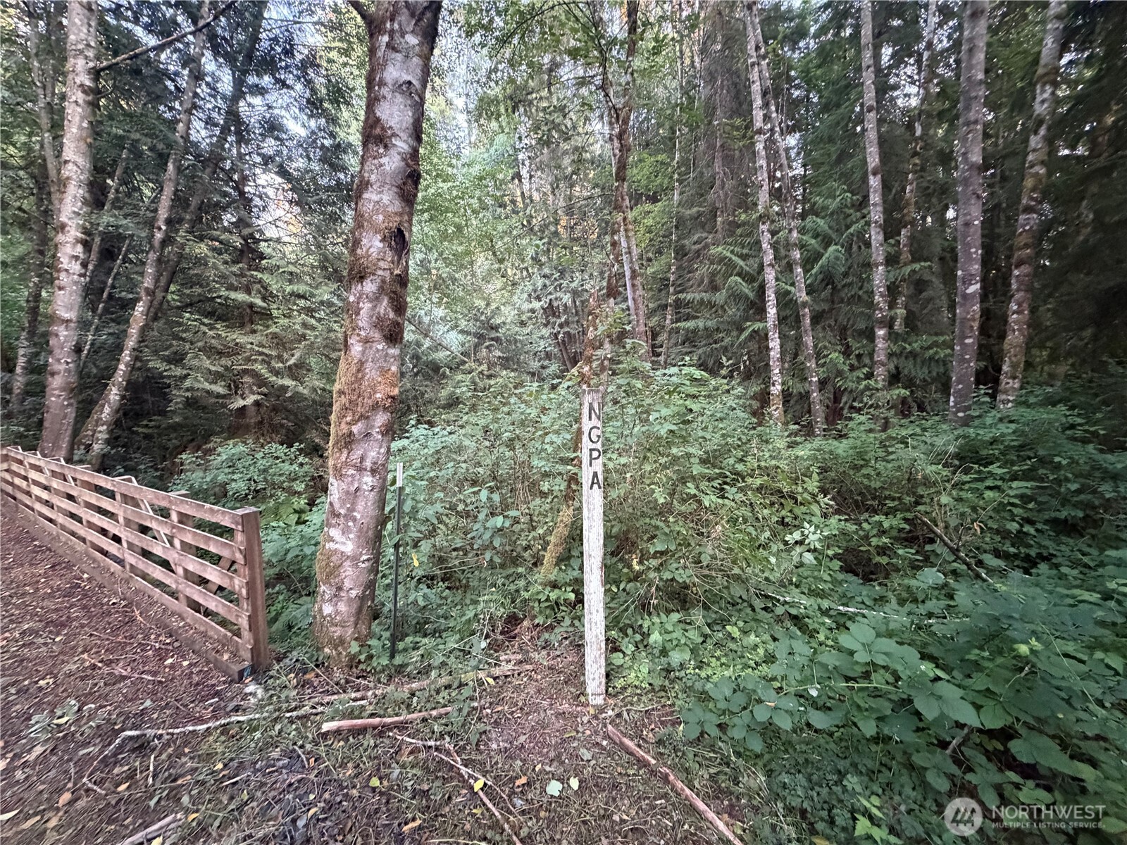 19009 51st Avenue Property Photo 23