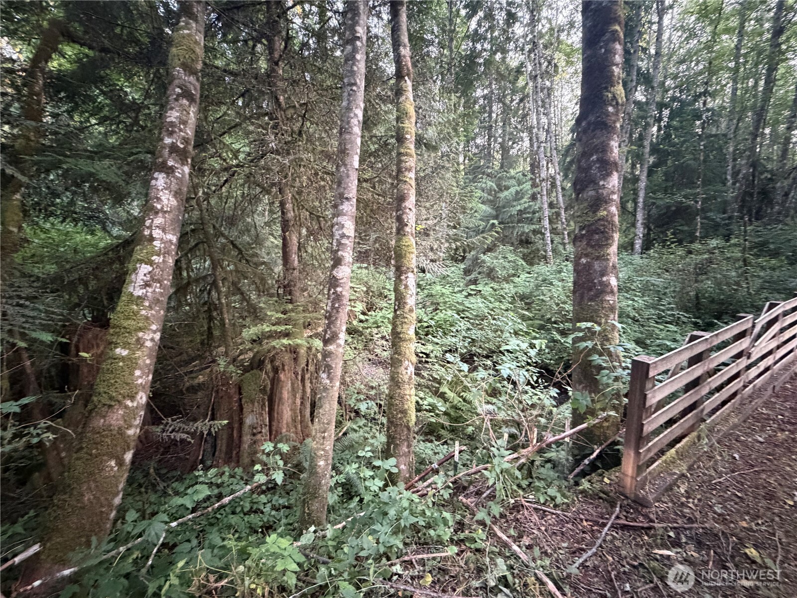 19009 51st Avenue Property Photo 24