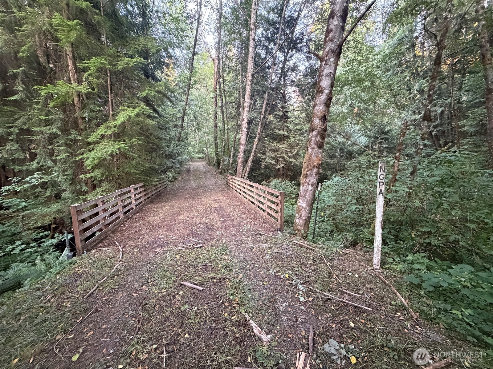 19009 51st Avenue Property Photo 27