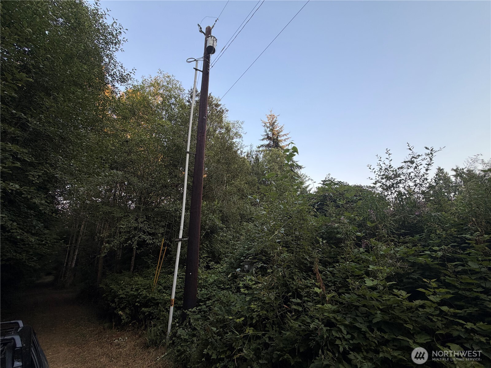 19009 51st Avenue Property Photo 30