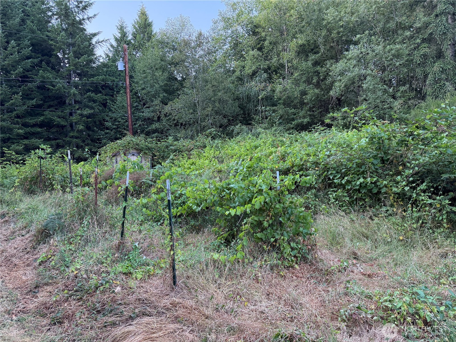 19009 51st Avenue Property Photo 31