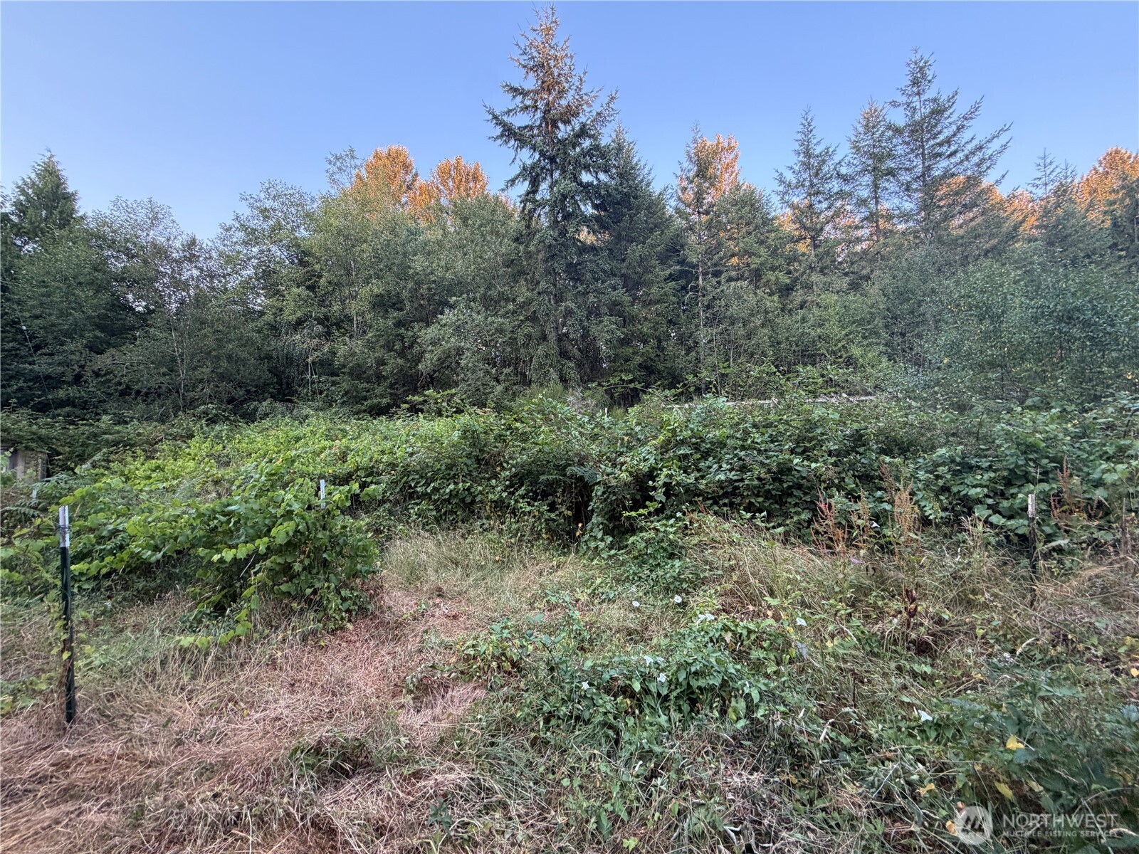 19009 51st Avenue Property Photo 32