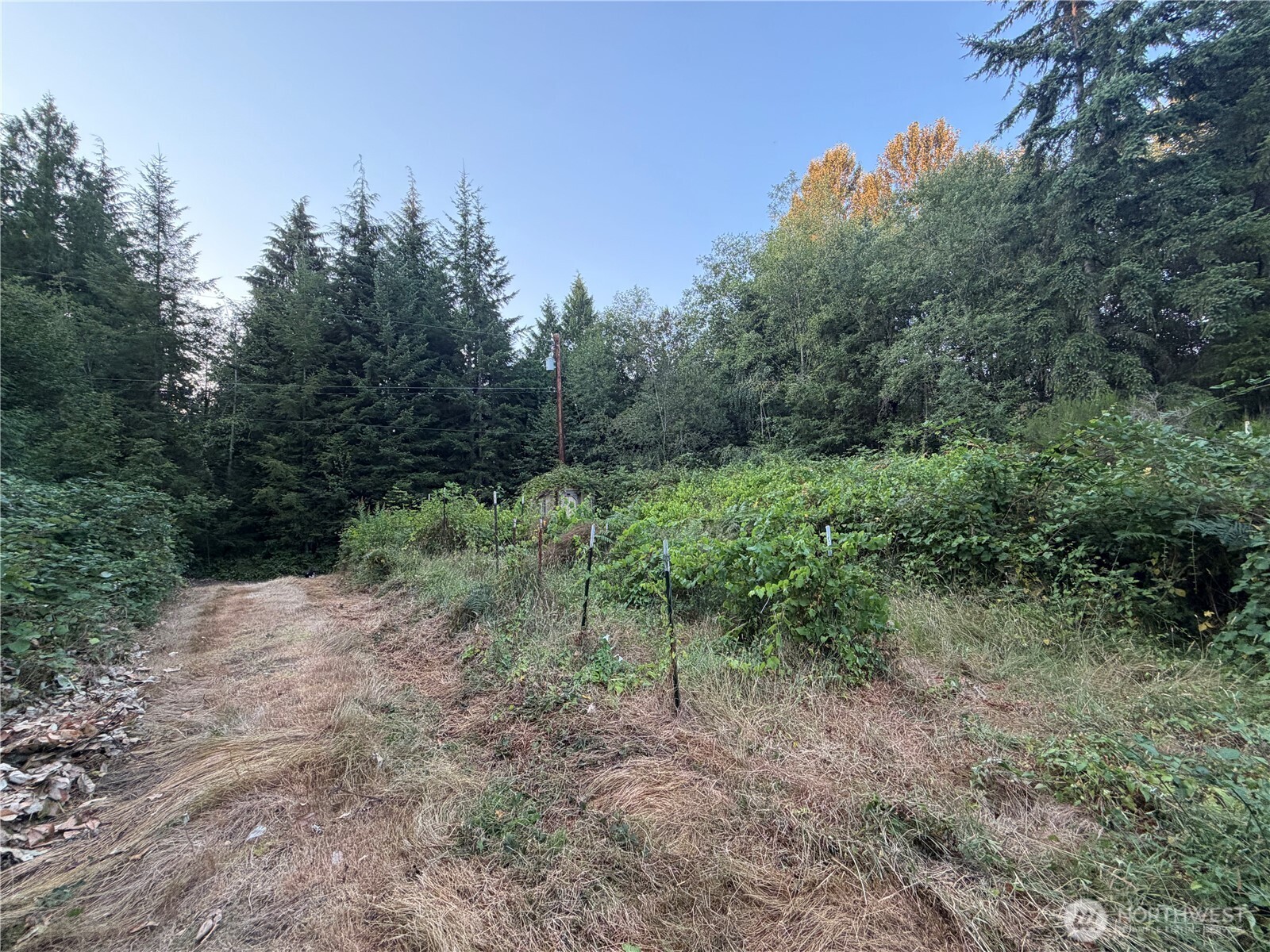 19009 51st Avenue Property Photo 33