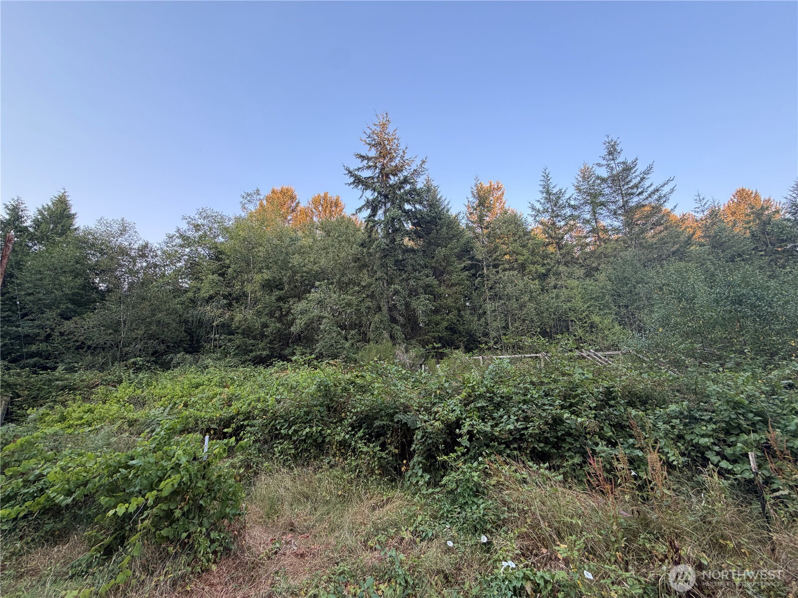 19009 51st Avenue Property Photo 34
