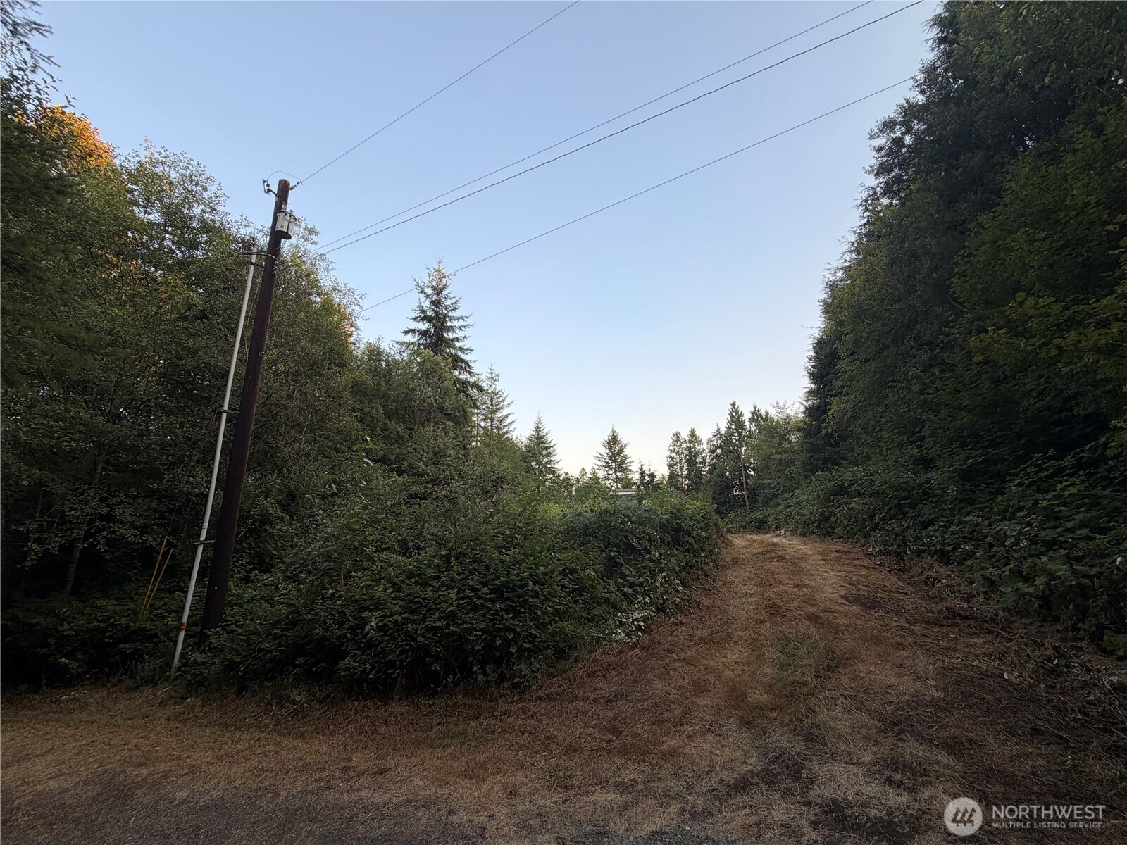 19009 51st Avenue Property Photo 36