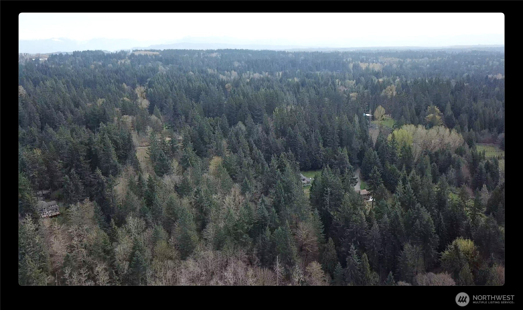 19009 51st Avenue Property Photo 37