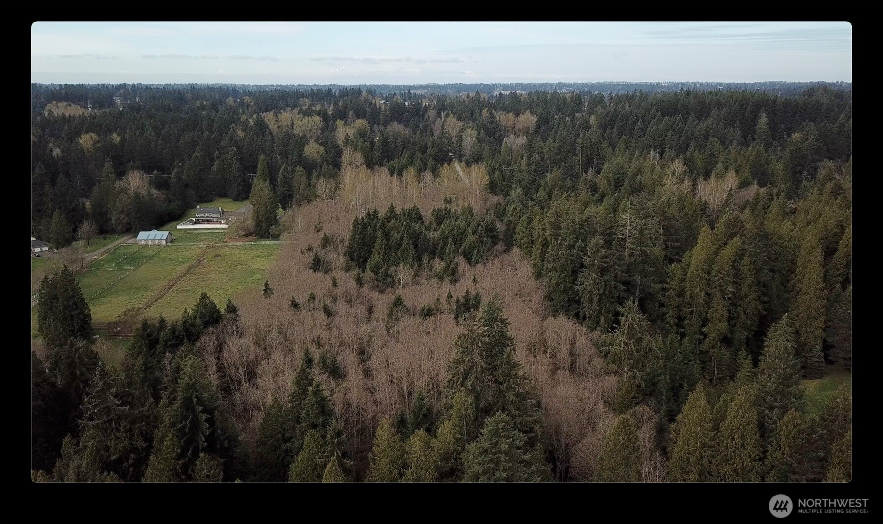 19009 51st Avenue Property Photo 38