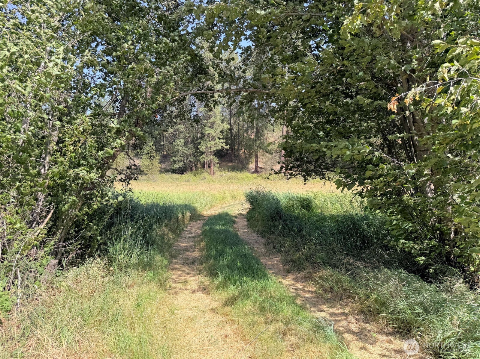1 Miles/creston Road Property Photo 8