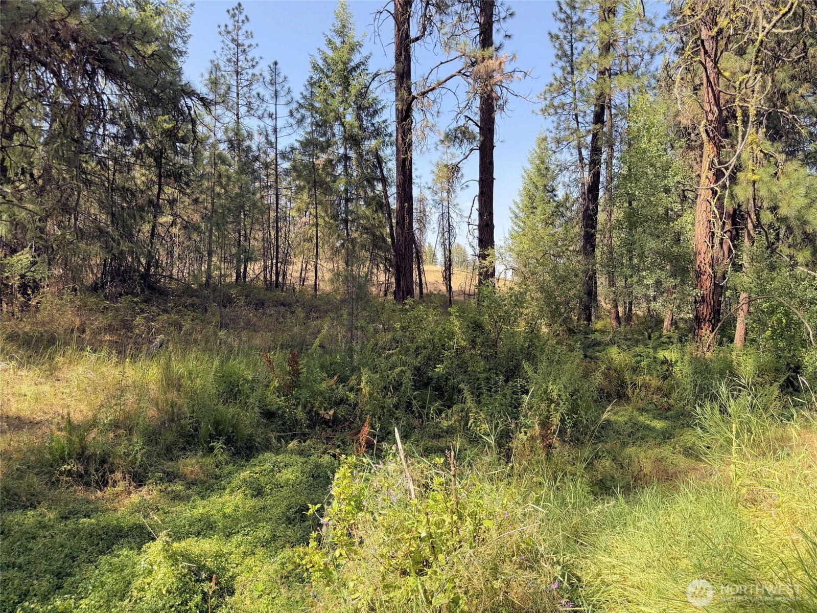 2 Miles/creston Road Property Photo 13