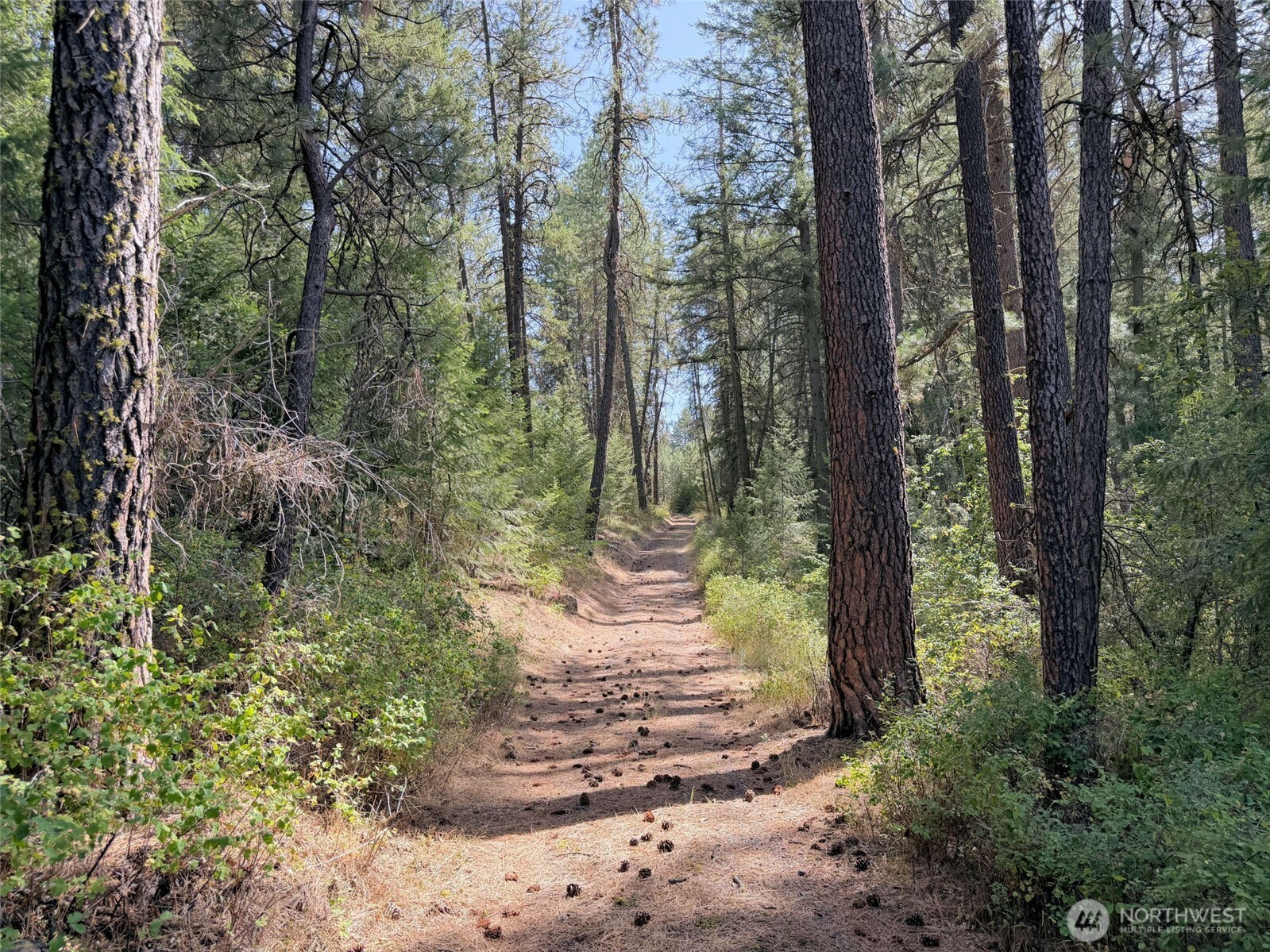 2 Miles/creston Road Property Photo 17