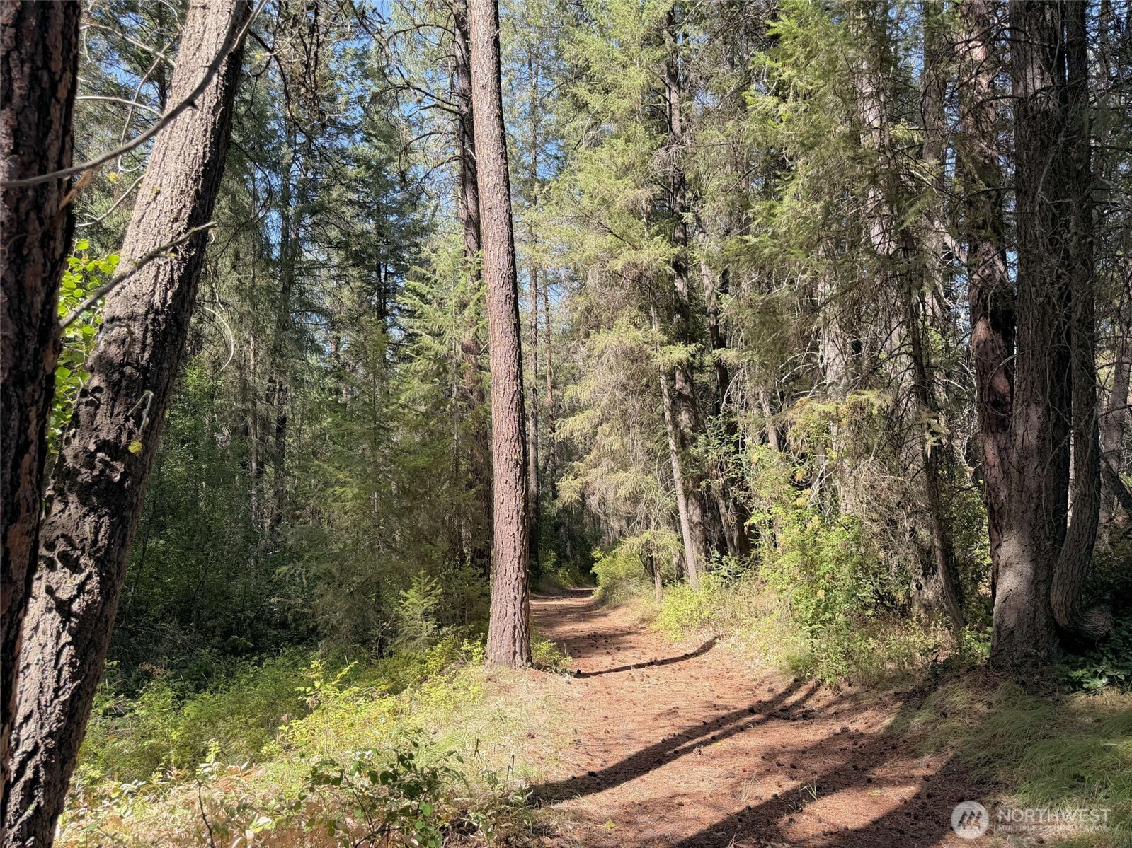 2 Miles/creston Road Property Photo 18