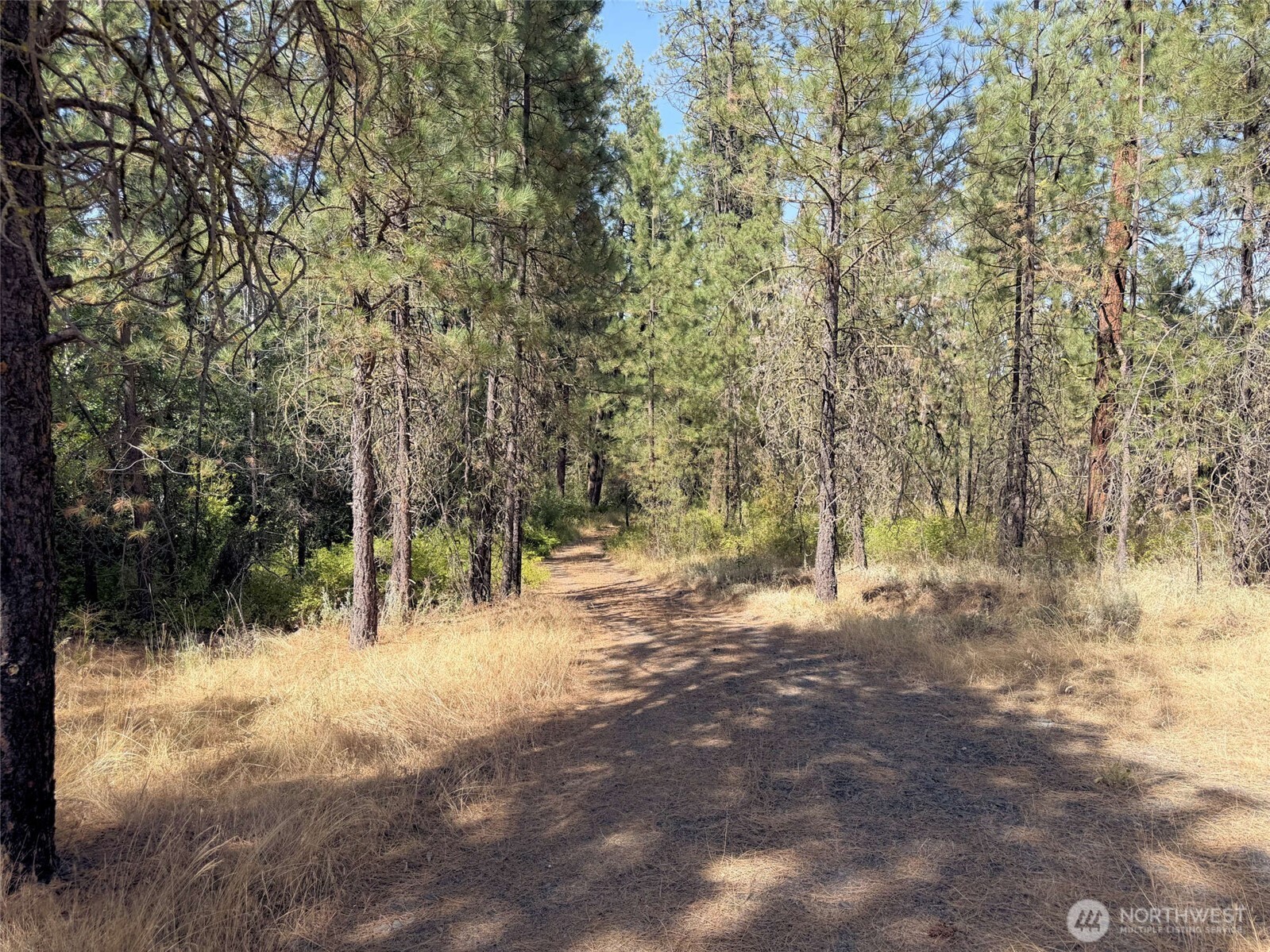 2 Miles/creston Road Property Photo 19