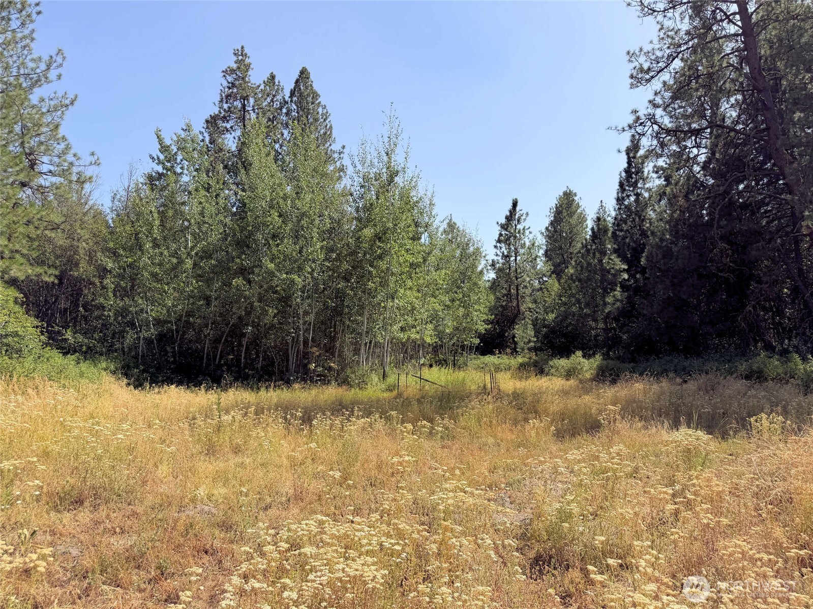 2 Miles/creston Road Property Photo 35