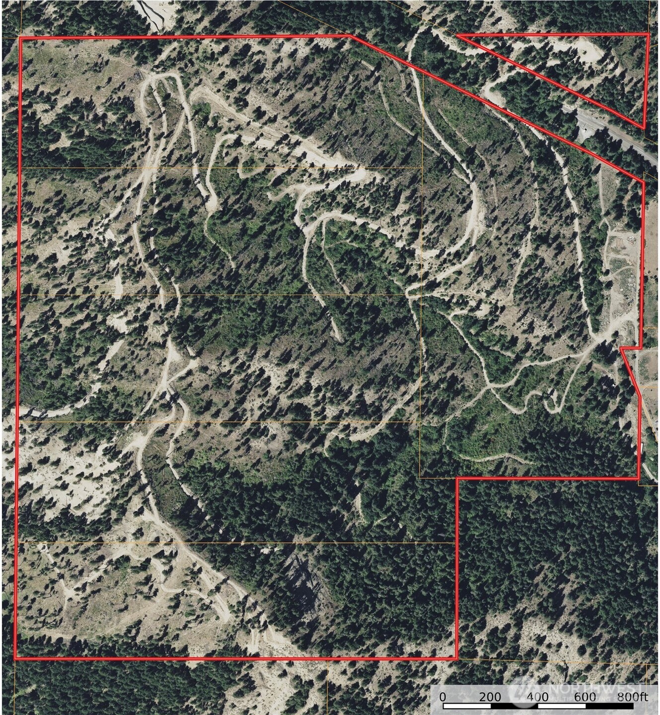 16100 Chumstick Highway Property Photo 2