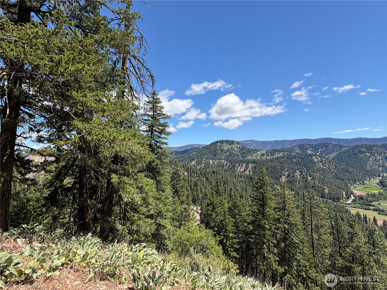 16100 Chumstick Highway Property Photo 5