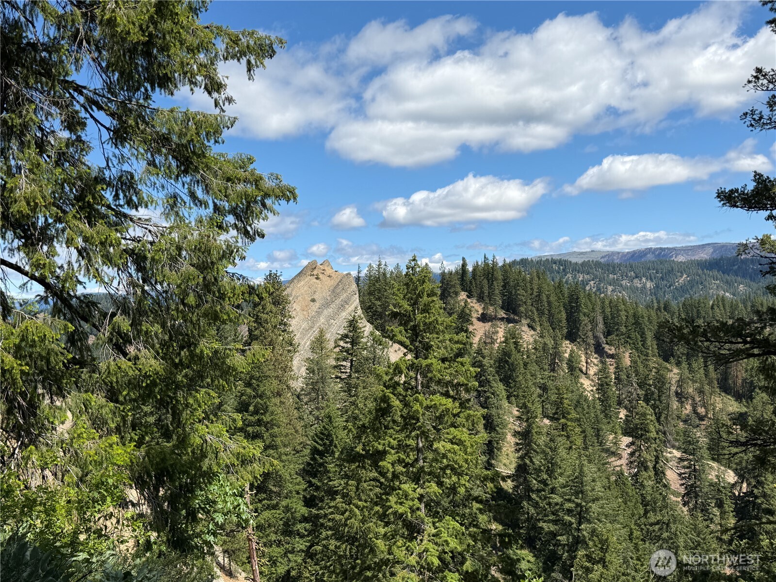 16100 Chumstick Highway Property Photo 6