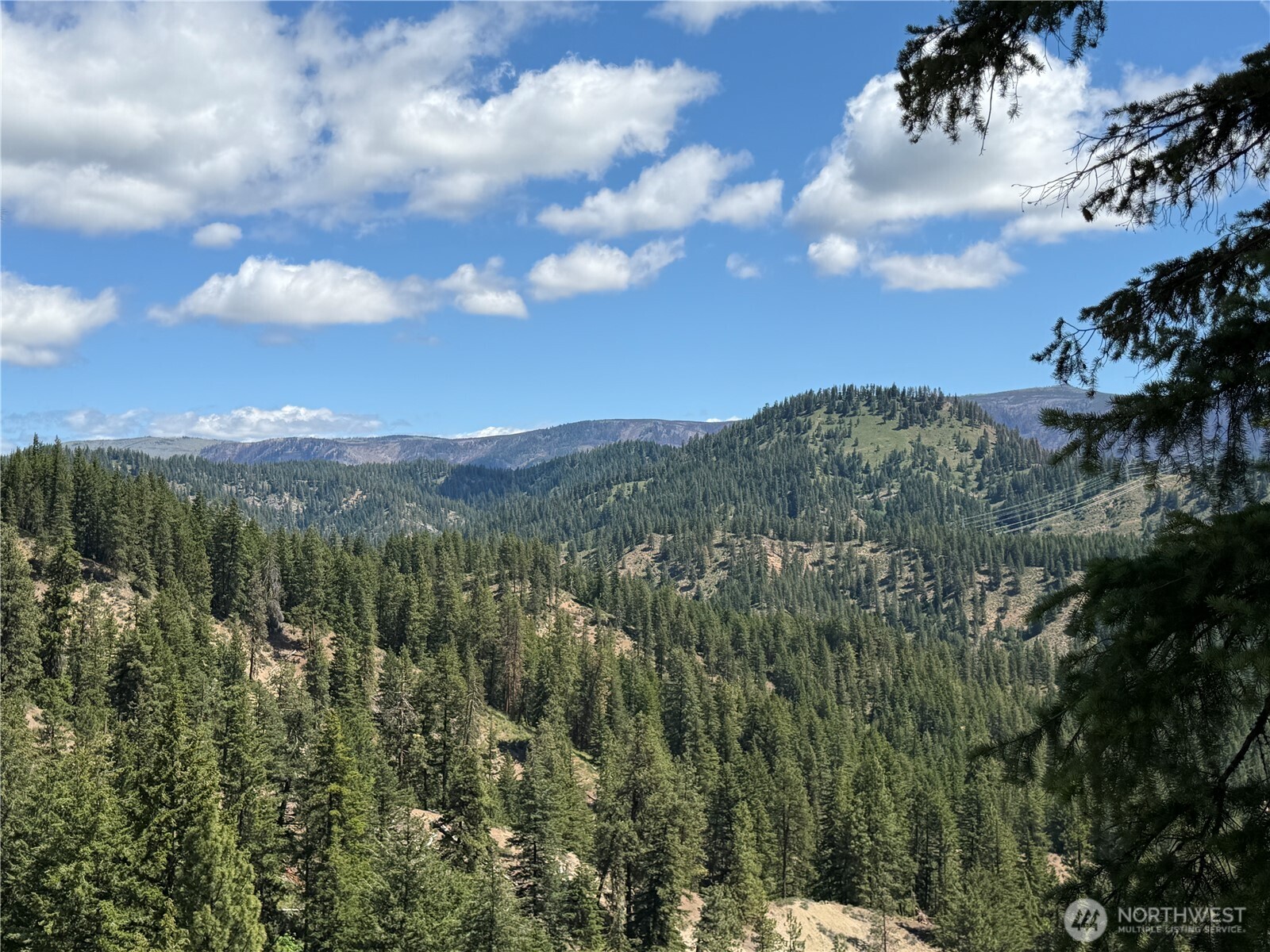 16100 Chumstick Highway Property Photo 7