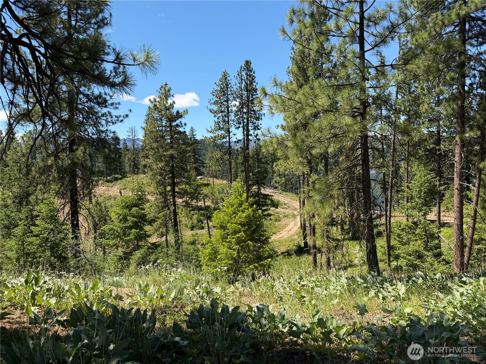 16100 Chumstick Highway Property Photo 16