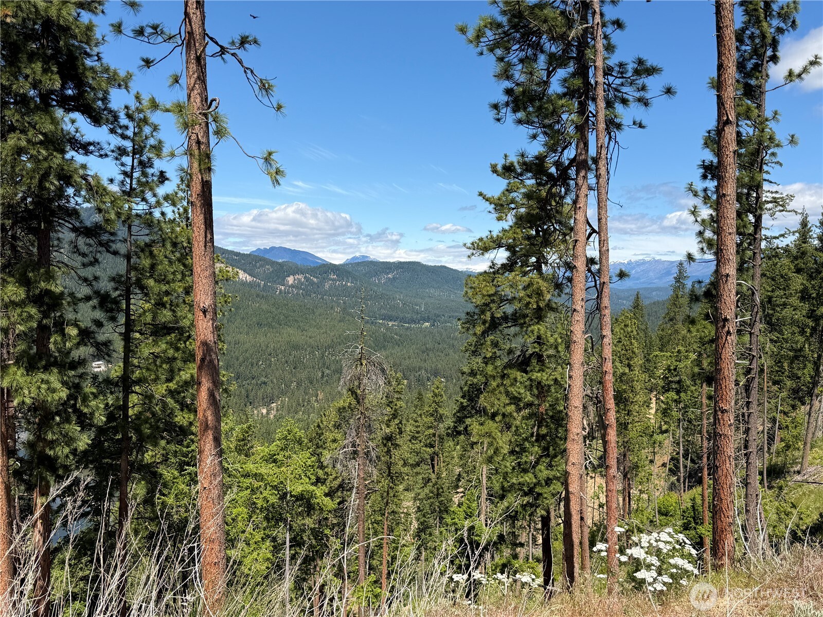 16100 Chumstick Highway Property Photo 19