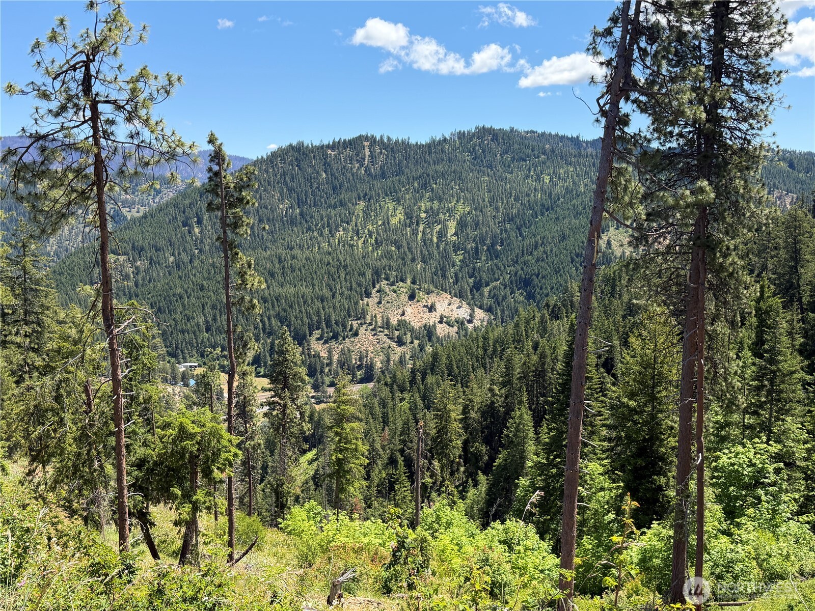 16100 Chumstick Highway Property Photo 21