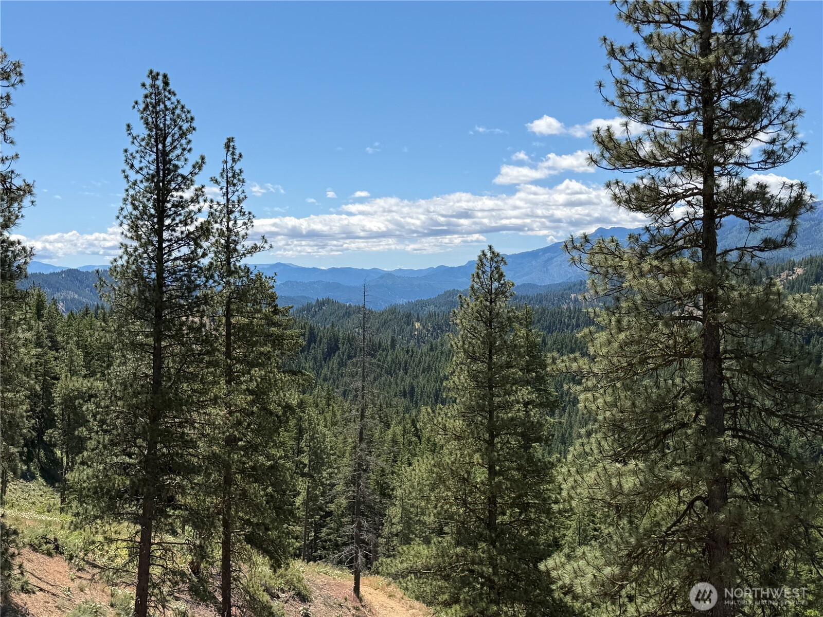 16100 Chumstick Highway Property Photo 22