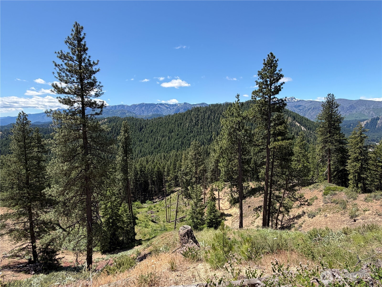 16100 Chumstick Highway Property Photo 23